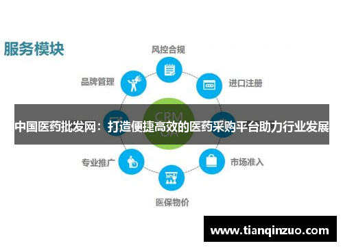 中国医药批发网：打造便捷高效的医药采购平台助力行业发展