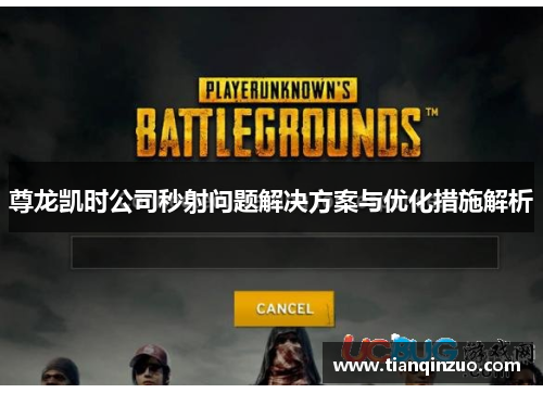 尊龙凯时公司秒射问题解决方案与优化措施解析